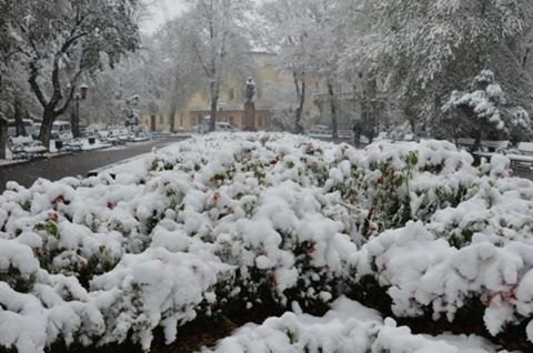 10690126_10152392928615894_8066947157020835203_n