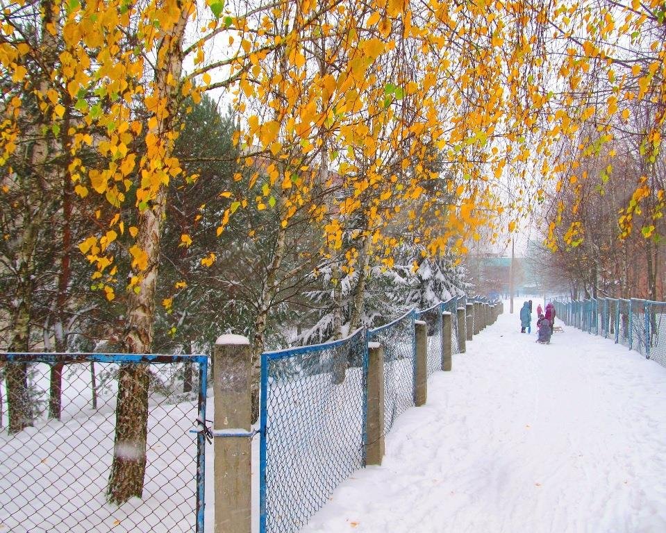 14980738_366736823659016_720071336035051098_n