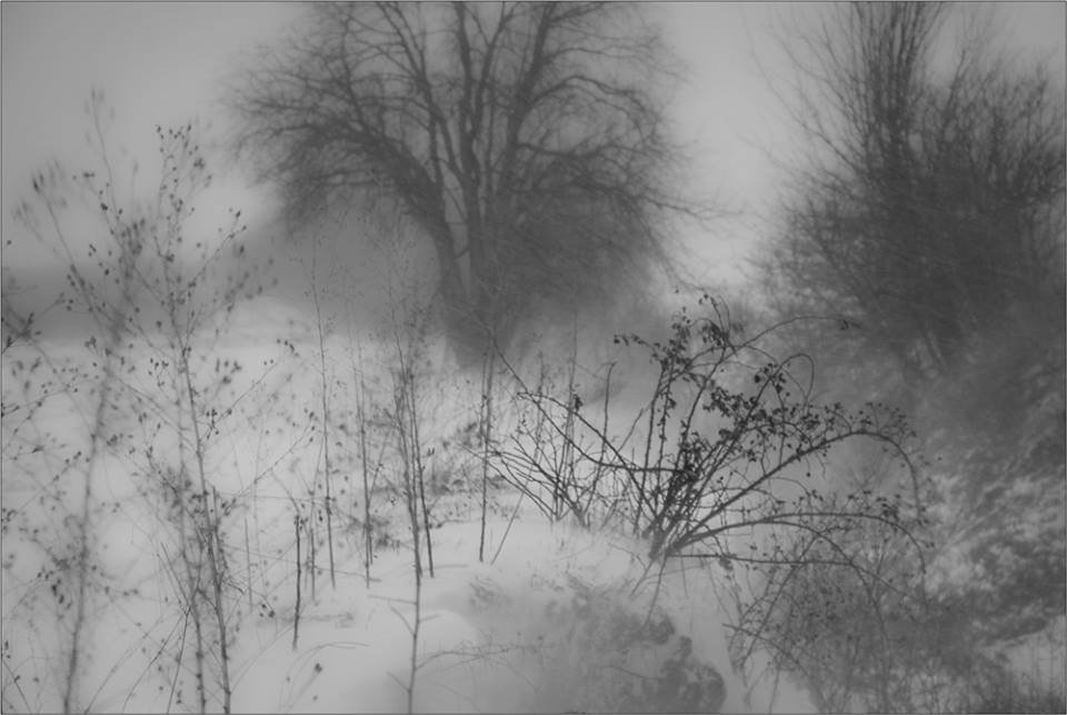 14991832_1817892501823529_9146150868913347594_n