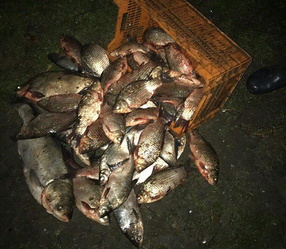 15032705_365051867173731_1071819063684536208_n