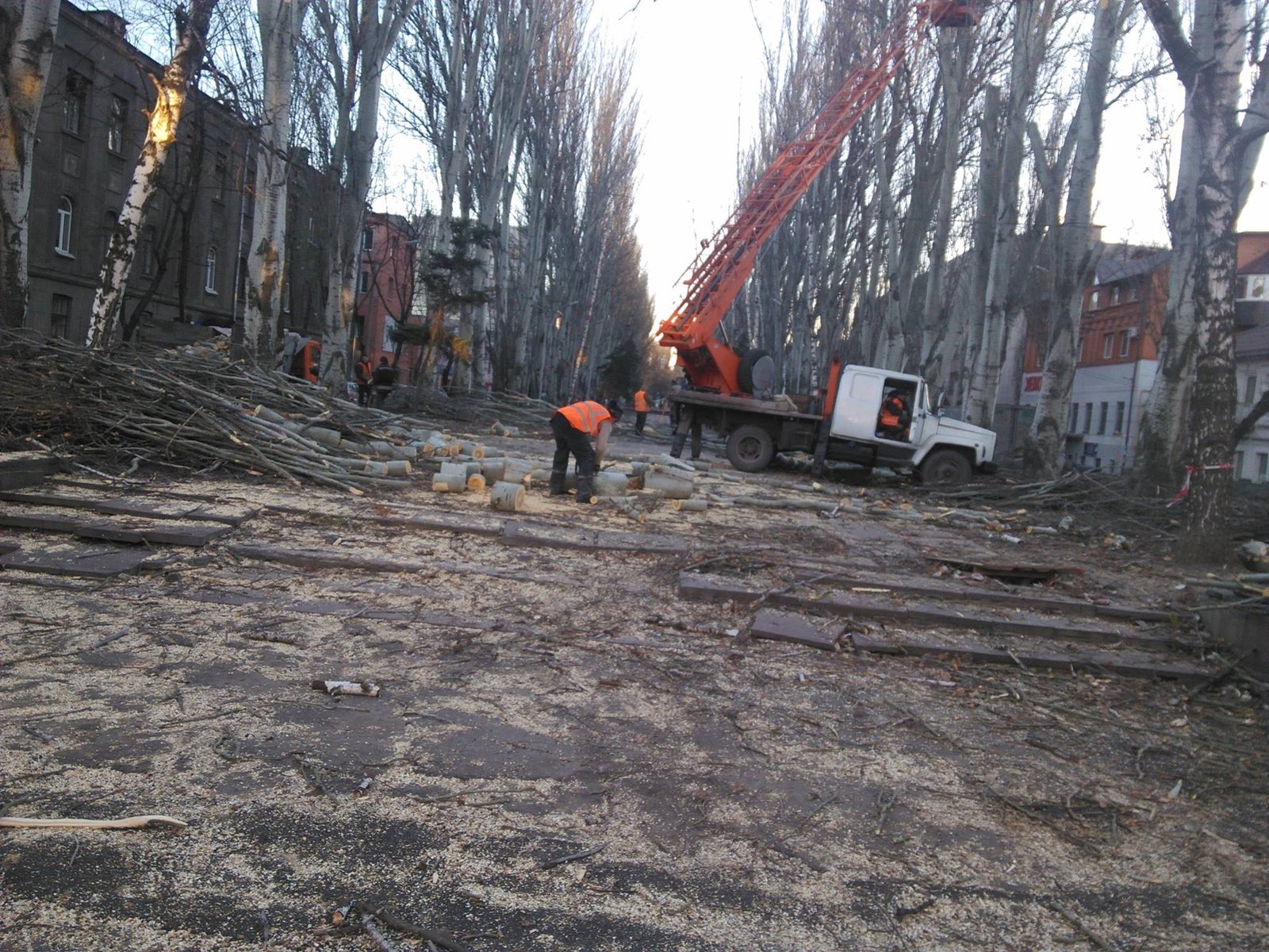 15123306_584532791738932_2508862174489062011_o