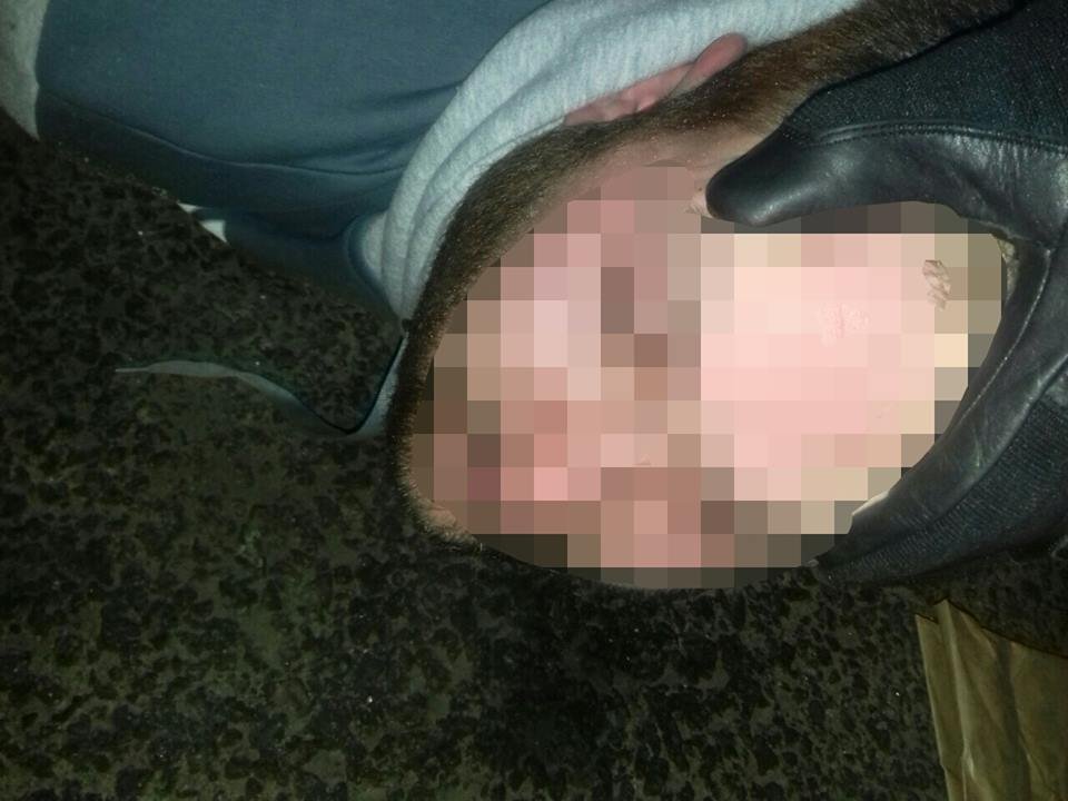 15203242_1648139065478702_3548504537229911697_n