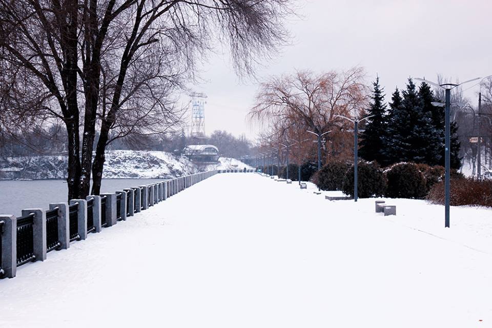 15301206_1370442386300951_1075080852_n