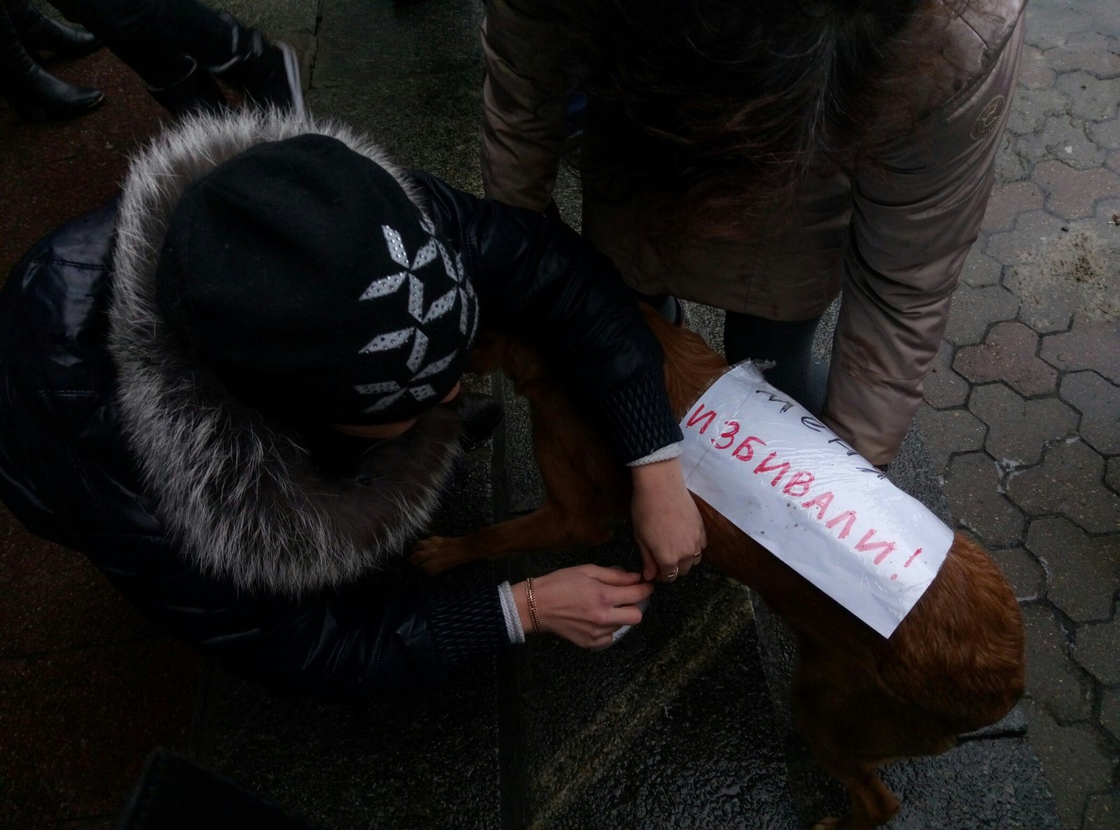 Жители Днепра митингуют против жестокого обращения с животными (ФОТО) 1