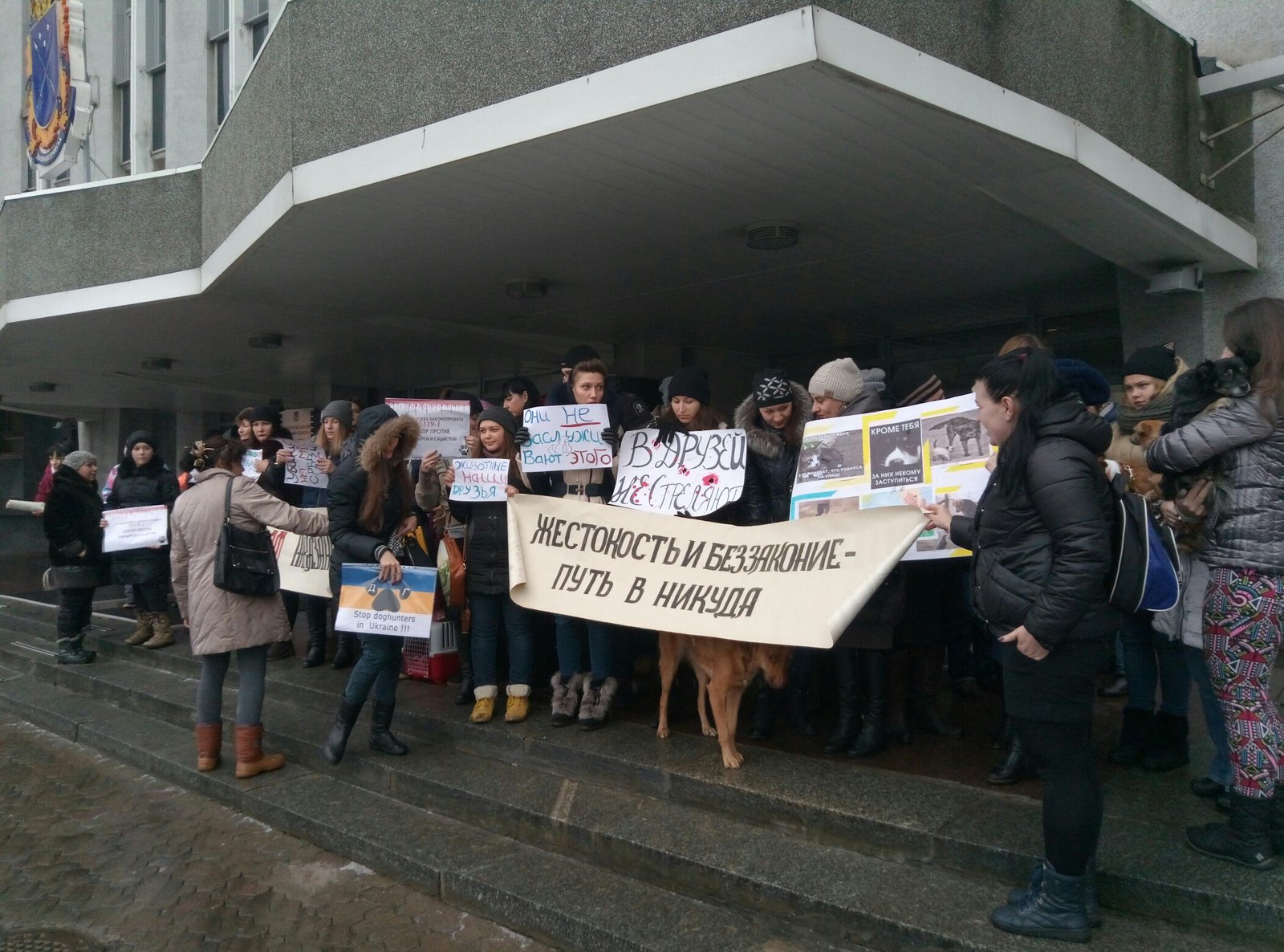Жители Днепра митингуют против жестокого обращения с животными (ФОТО) 2