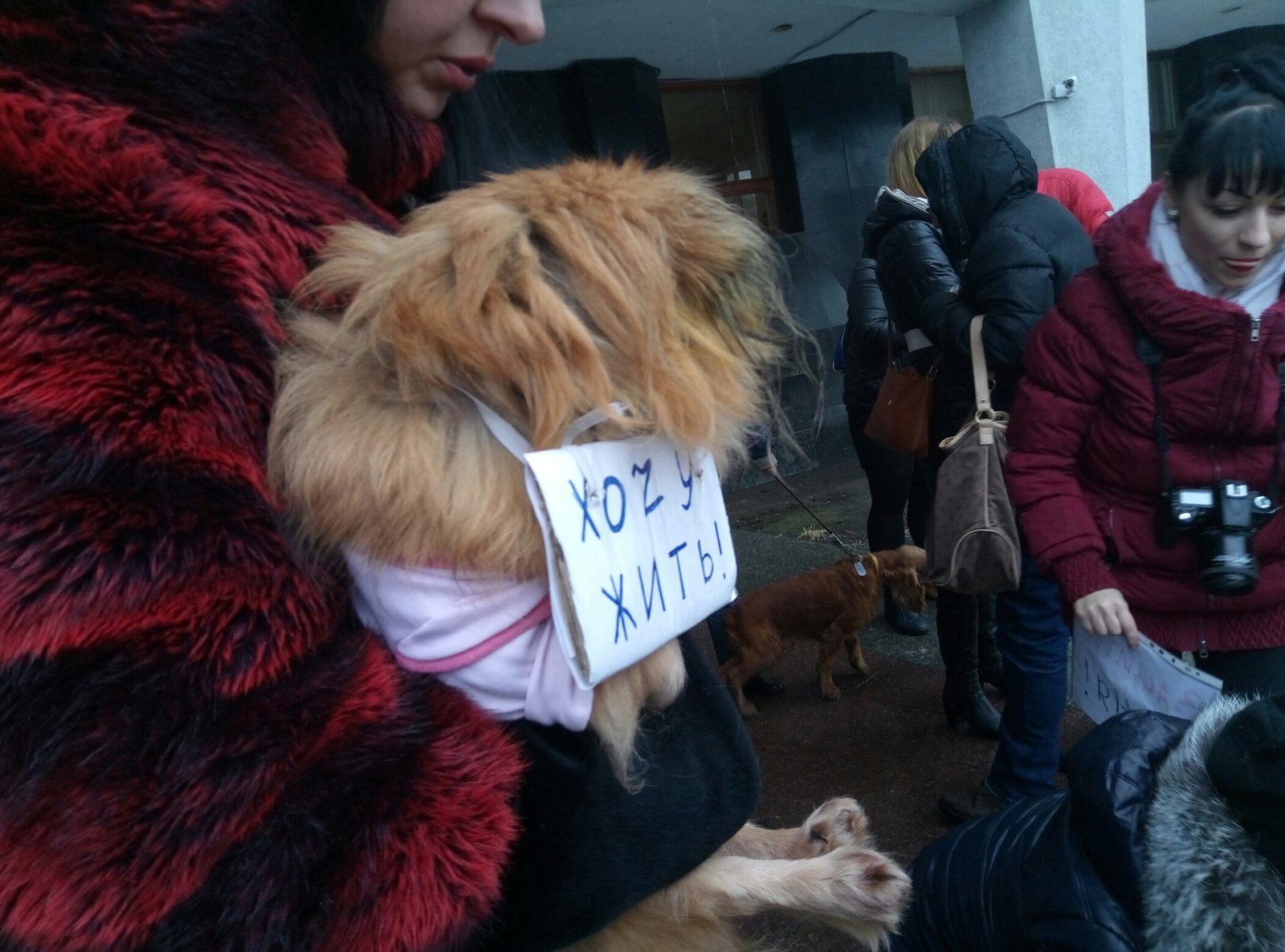 Жители Днепра митингуют против жестокого обращения с животными (ФОТО) 4