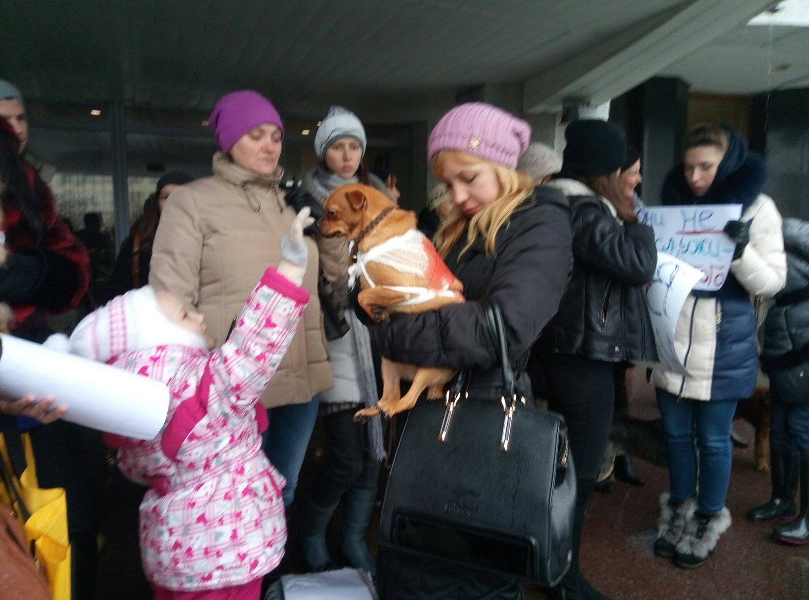 Жители Днепра митингуют против жестокого обращения с животными (ФОТО) 5