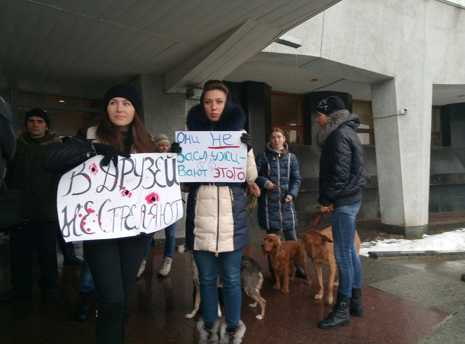 Жители Днепра митингуют против жестокого обращения с животными (ФОТО) 6