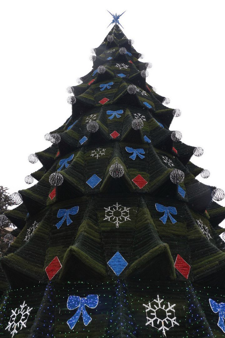 В центре Днепра установили новогоднюю елку (ФОТО) 1