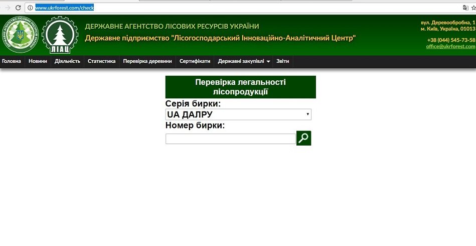 Сколько стоит новогодняя ель в Днепре и как понять, откуда ее привезли 1
