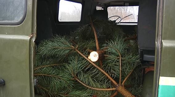 На Днепропетровщине полиция использует беспилотники для охраны леса (ВИДЕО) 2