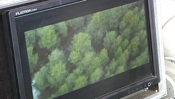 На Днепропетровщине полиция использует беспилотники для охраны леса (ВИДЕО) 4