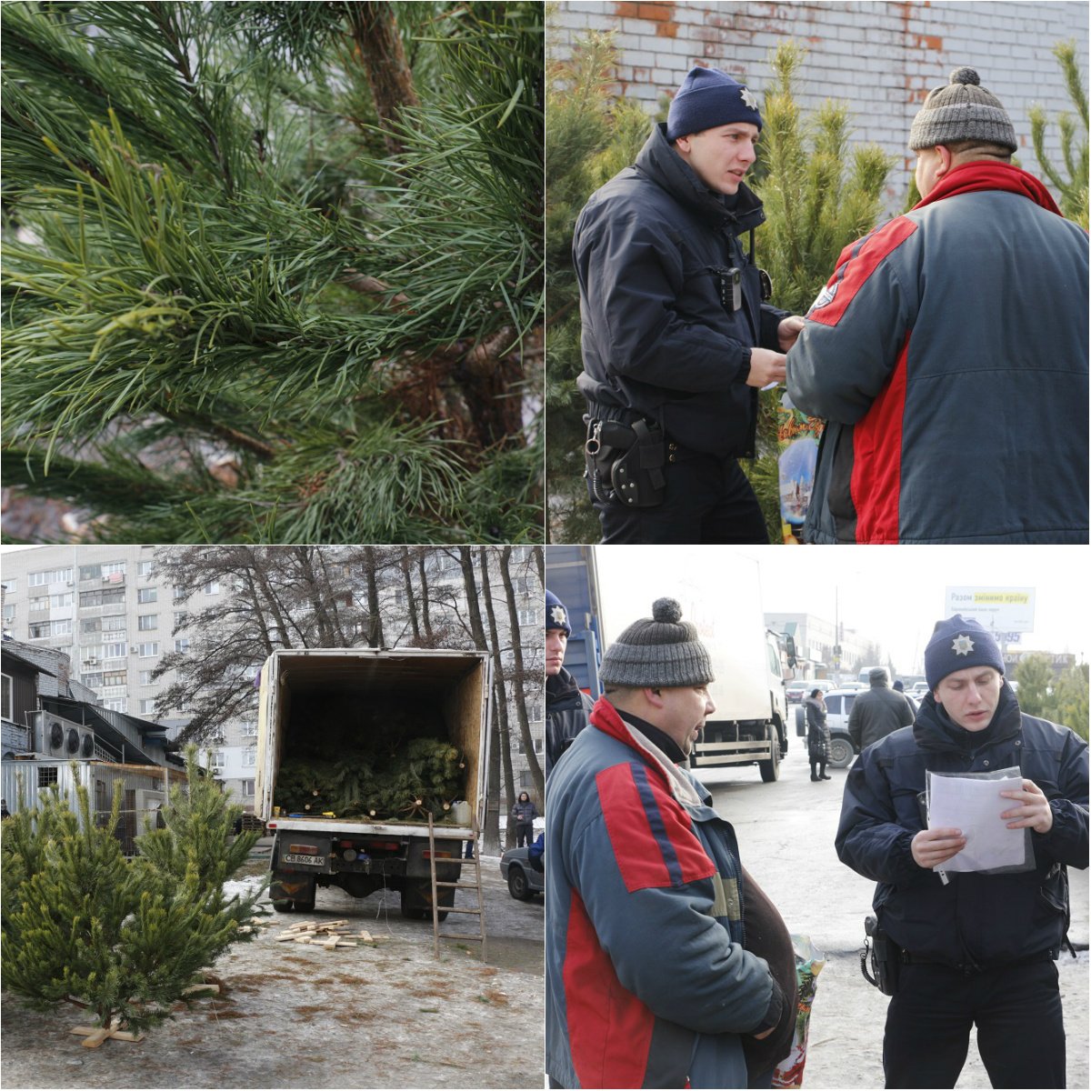 Как патрульные Днепра "гоняли" торговцев ёлками (ФОТО) 1