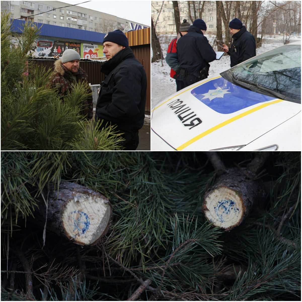 Как патрульные Днепра "гоняли" торговцев ёлками (ФОТО) 3