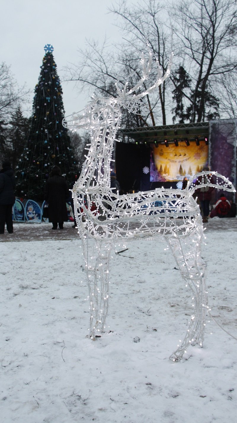 В парке Шевченко открылась новогодняя ёлка: как это было (ФОТО) 1