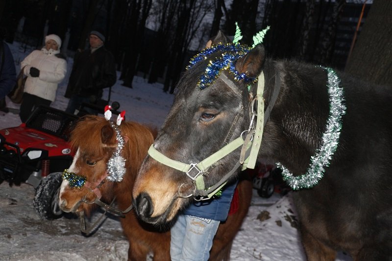 В парке Шевченко открылась новогодняя ёлка: как это было (ФОТО) 9
