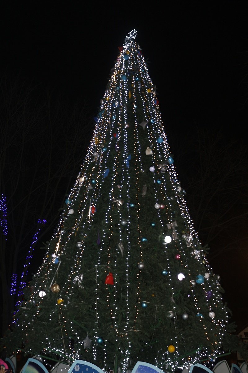 В парке Шевченко открылась новогодняя ёлка: как это было (ФОТО) 15