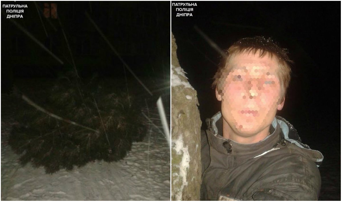 Предприниматели-неудачники: неизвестные пытались спилить ёлки в центре Днепра (ФОТО) 1