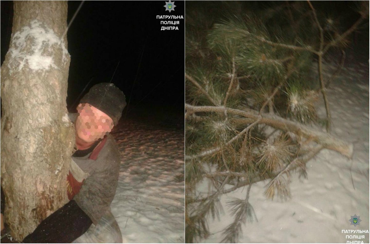 Предприниматели-неудачники: неизвестные пытались спилить ёлки в центре Днепра (ФОТО) 2