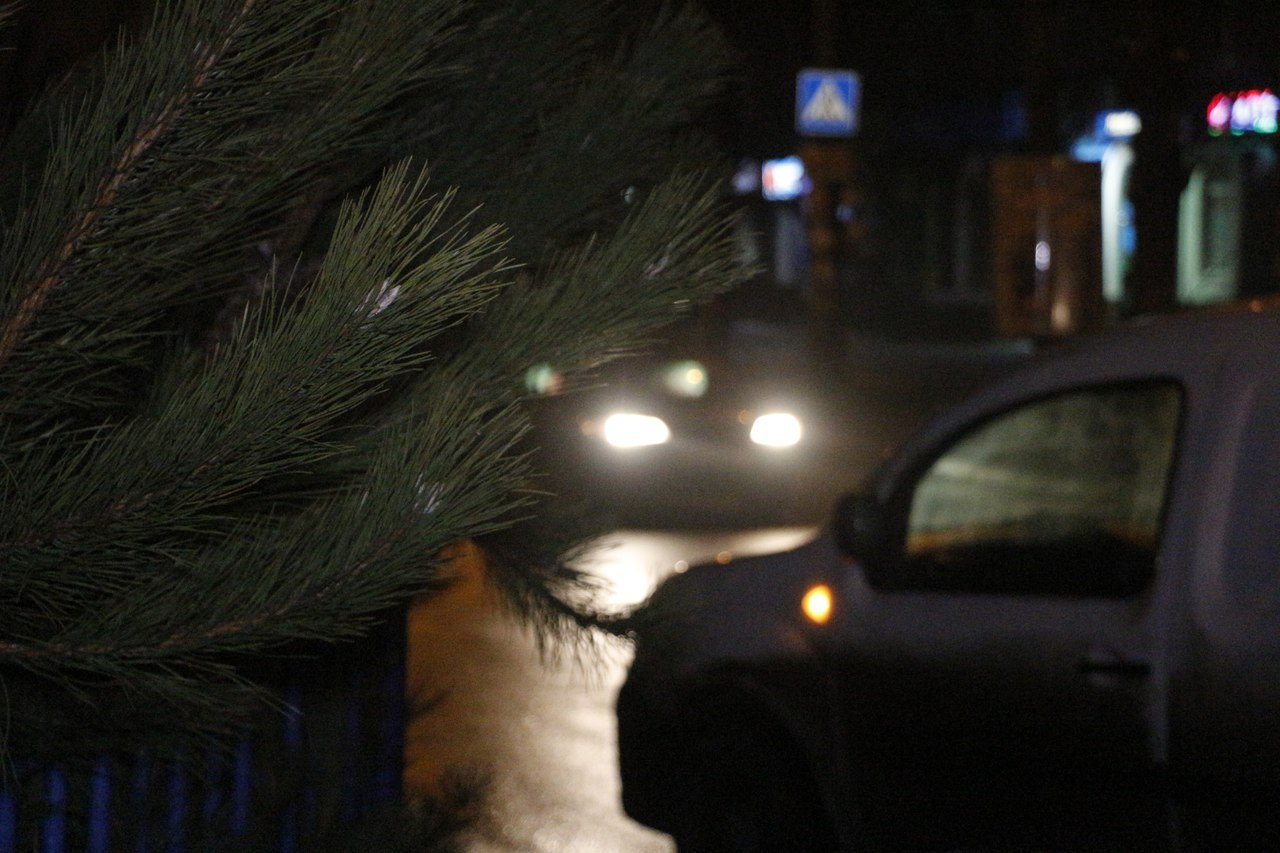 Стихийная точка продажи елок стала причиной ДТП (ФОТО) 4