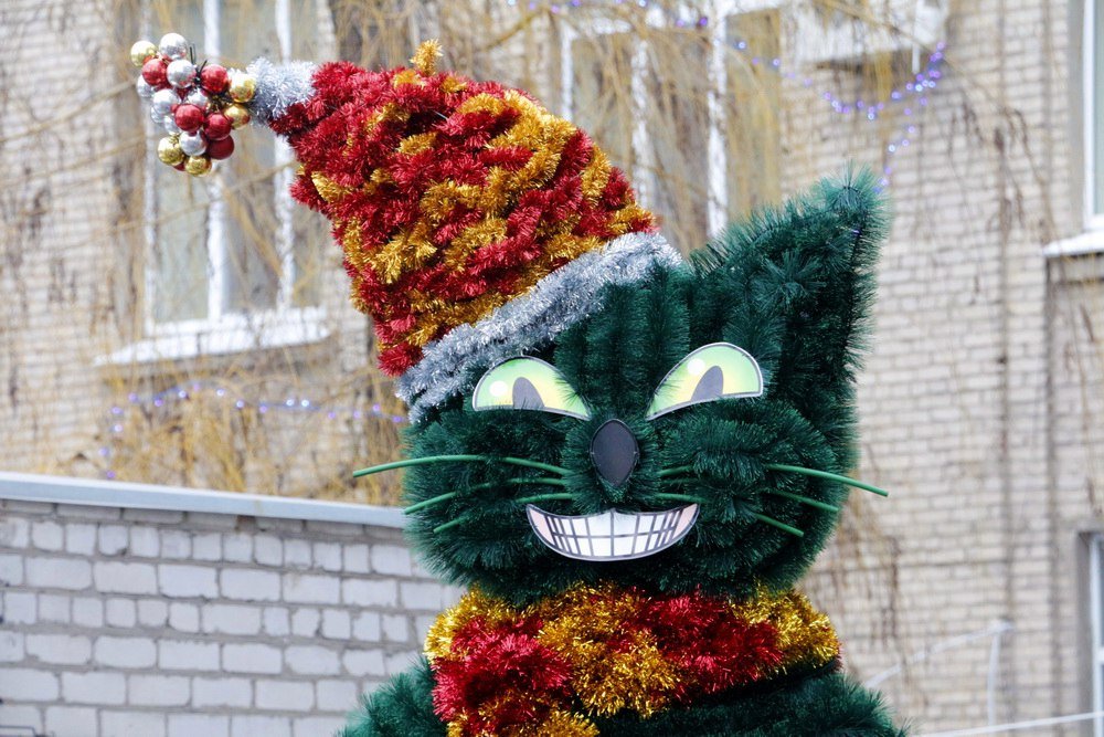 В Днепре появился зеленый кот-елка (ФОТО) 8