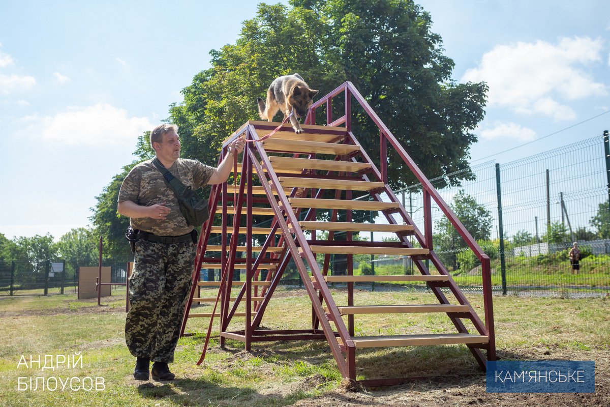 В Каменском открыли первую площадку для выгула и тренировки животных 1