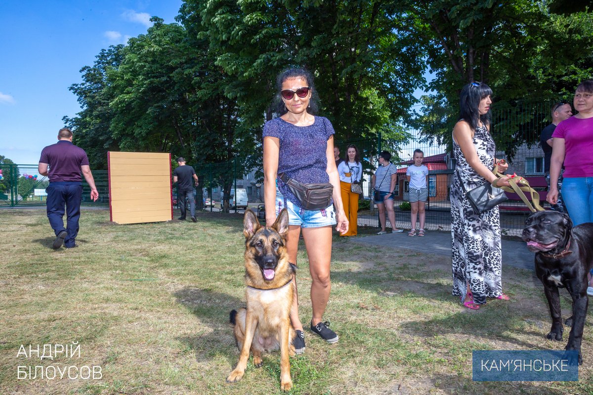 В Каменском открыли первую площадку для выгула и тренировки животных 7