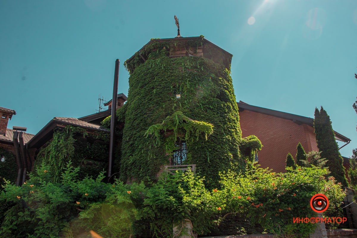 Немного зелени вам в ленту: как выглядит улица Драгоманова в Днепре в летний день 1