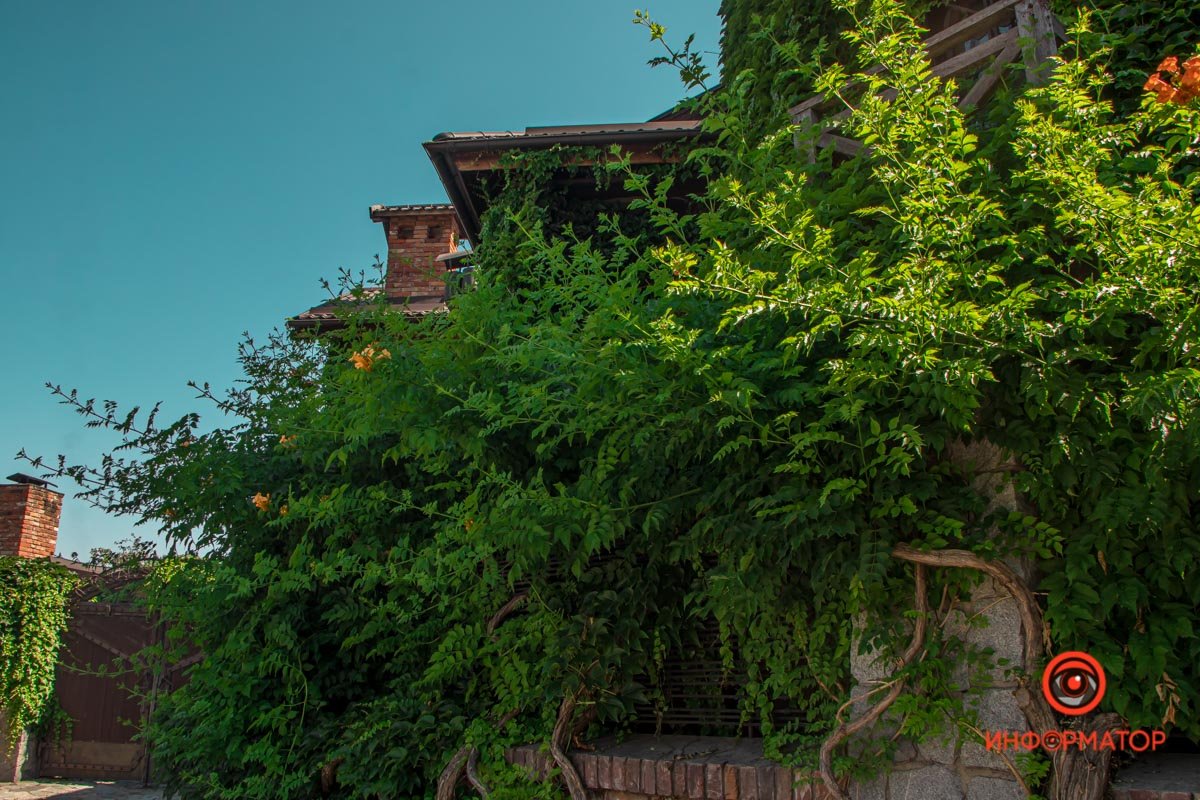 Немного зелени вам в ленту: как выглядит улица Драгоманова в Днепре в летний день 2