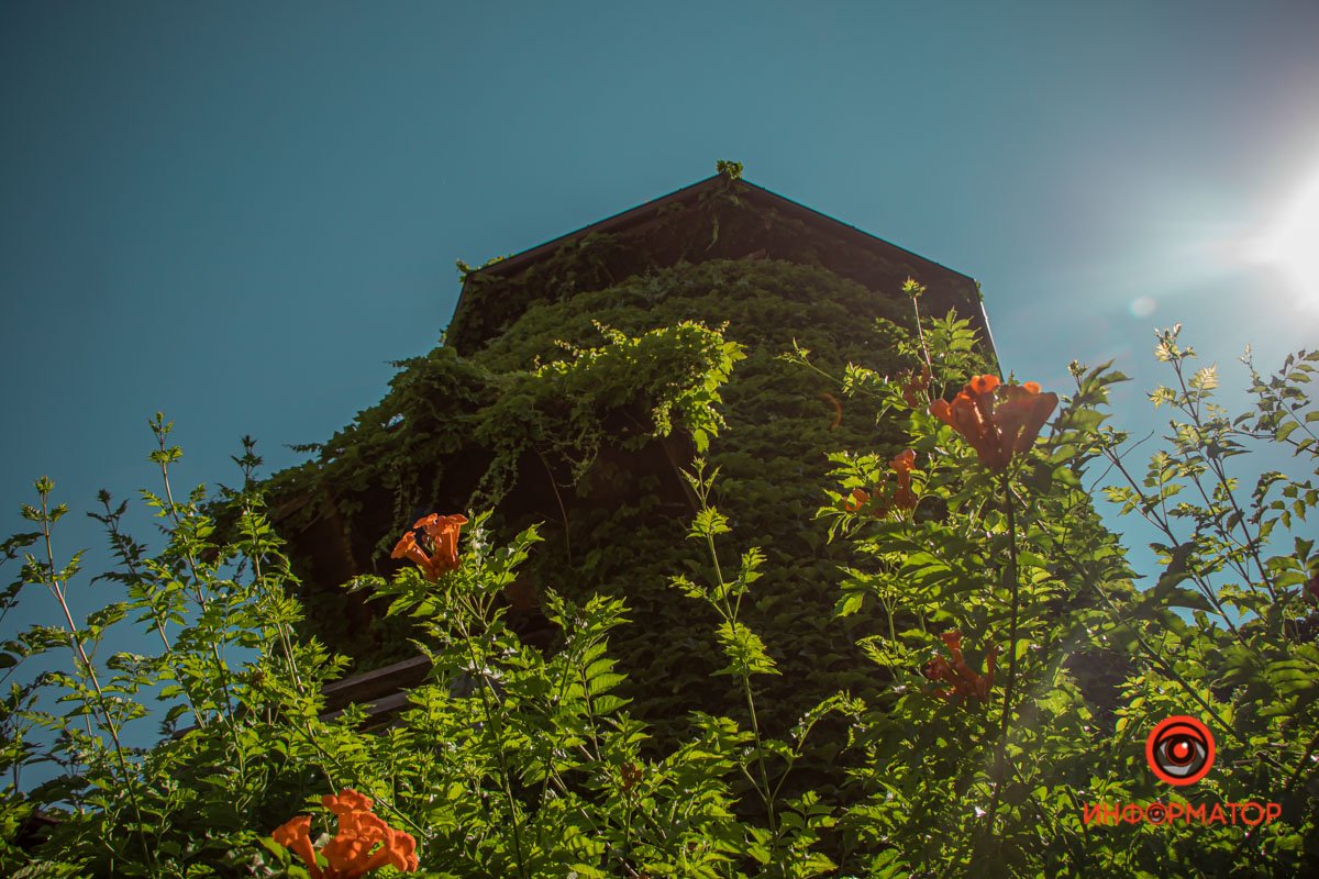 Немного зелени вам в ленту: как выглядит улица Драгоманова в Днепре в летний день 5