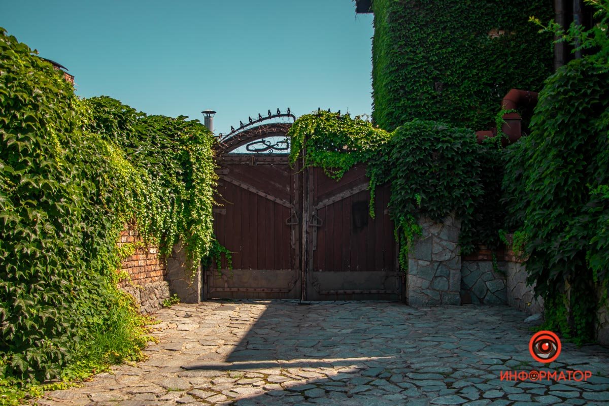 Немного зелени вам в ленту: как выглядит улица Драгоманова в Днепре в летний день 7