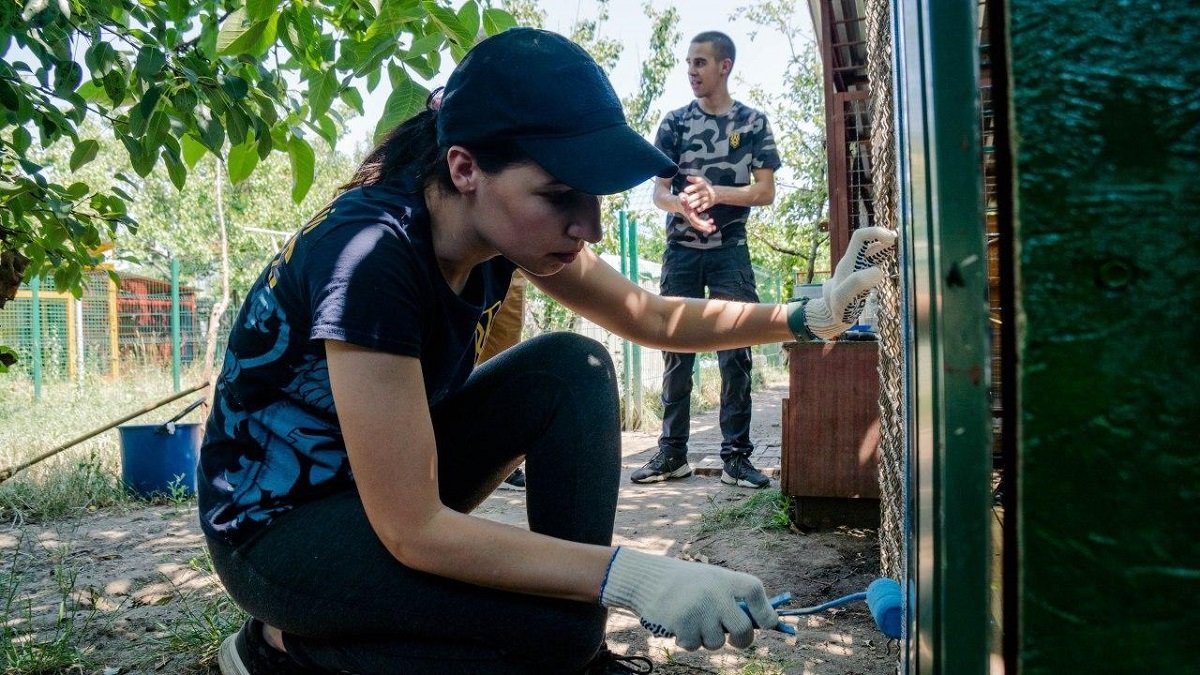 Как помогать бездомным животным в Днепре 4