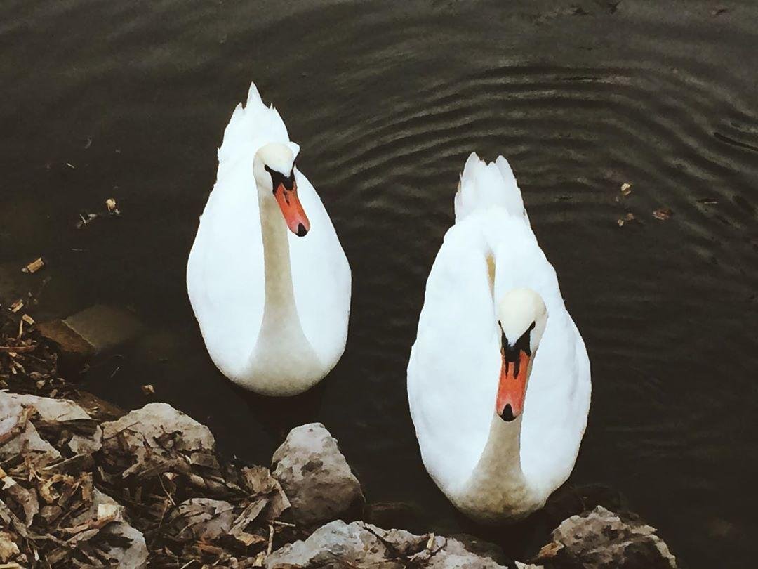 Фото: @leyla_n_lily Фото: @leyla_n_lily