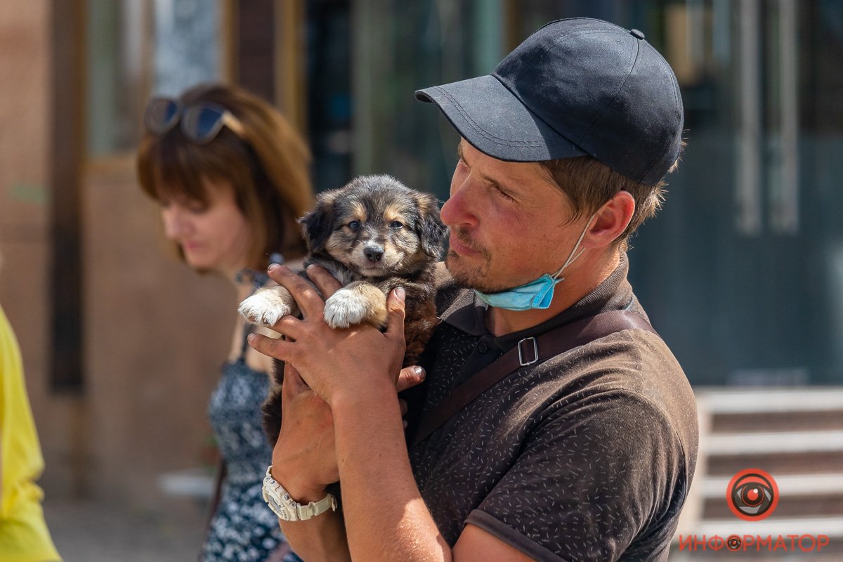 Мимиметр зашкаливает, как и градусники за окном