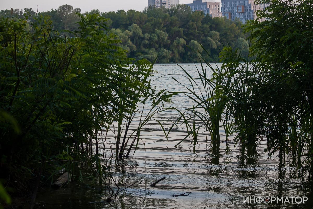 И столько же зелени вокруг И столько же зелени вокруг