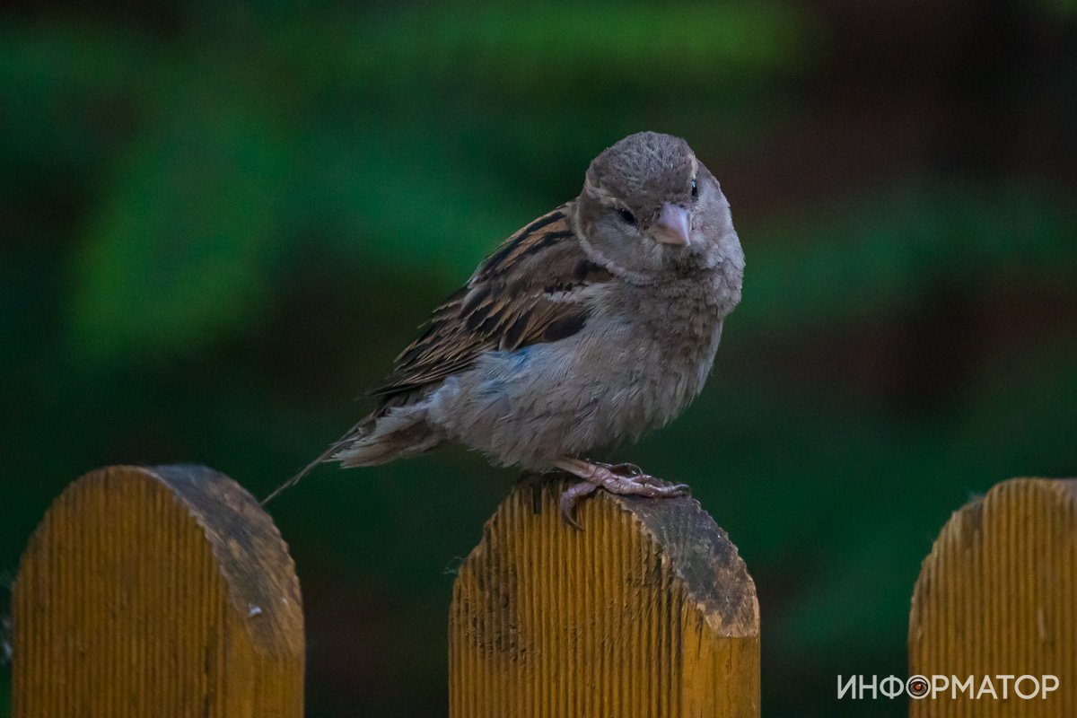 А разрешение на фотосъемку есть? А разрешение на фотосъемку есть?
