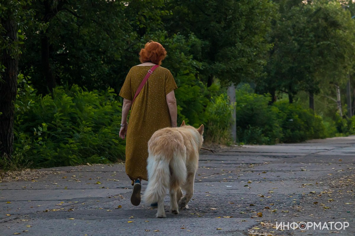 и с выгула четверолапых и с выгула четверолапых