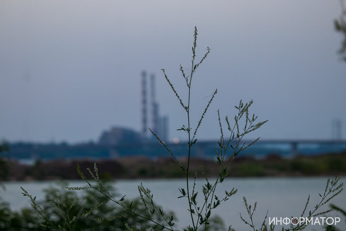 Прекрасное состоит из мелочей Прекрасное состоит из мелочей