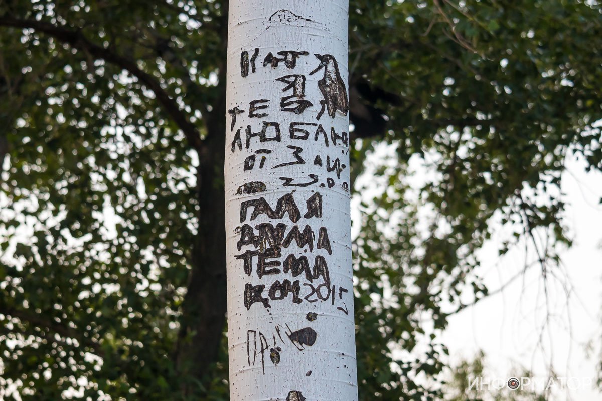 Вечные романтики тоже Вечные романтики тоже