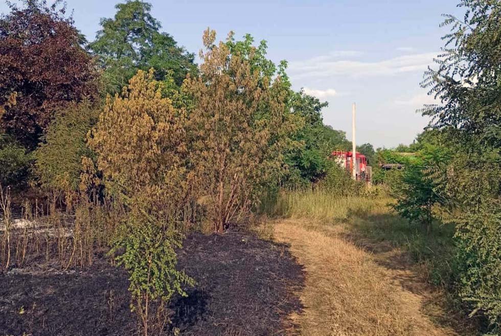 Площадь пожара - 3 гектара