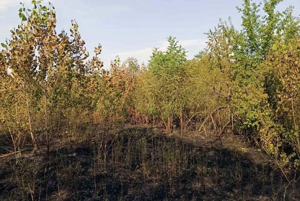 Никто не пострадал