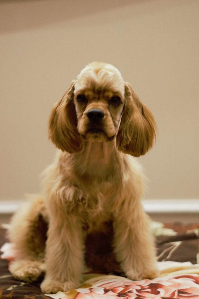 Позвонила сообщить, что на нее напали и пропала: в Днепре разыскивают 38-летнюю женщину 3