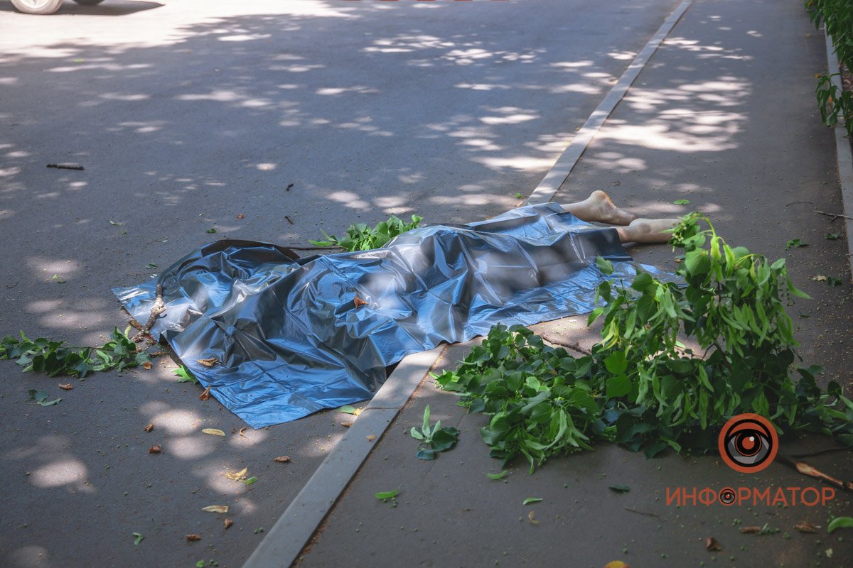 Травмы были несовместимы с жизнью Травмы были несовместимы с жизнью