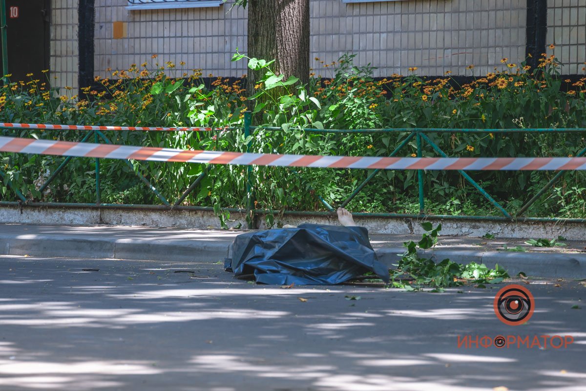 Во всех обстоятельствах будет разбираться следователь Во всех обстоятельствах будет разбираться следователь