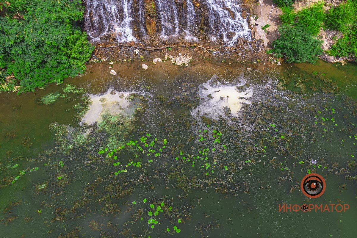 Река Днепр зацвела и покрылась пеной 6