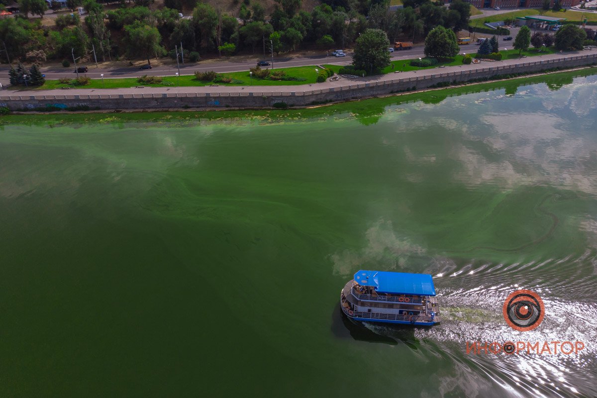Река Днепр зацвела и покрылась пеной 9