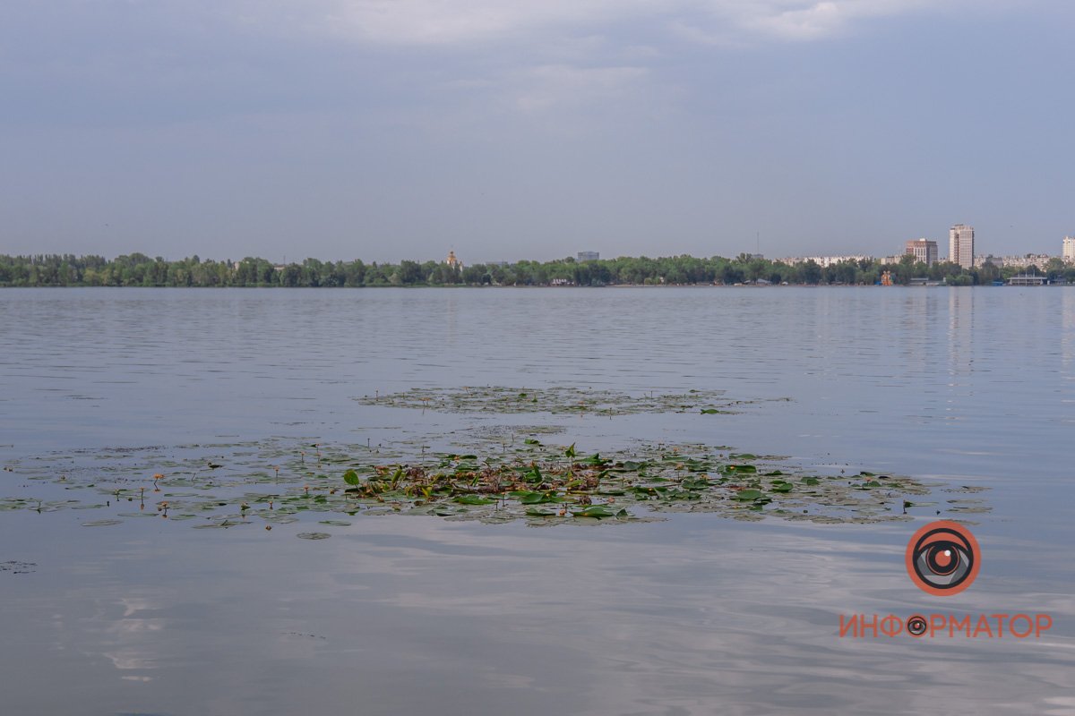 Река Днепр зацвела и покрылась пеной 12