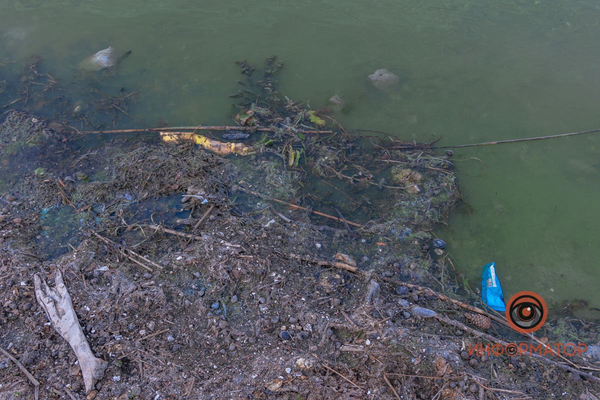 Река Днепр зацвела и покрылась пеной 14
