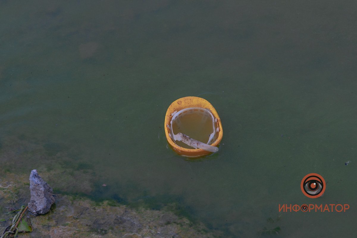 Река Днепр зацвела и покрылась пеной 15