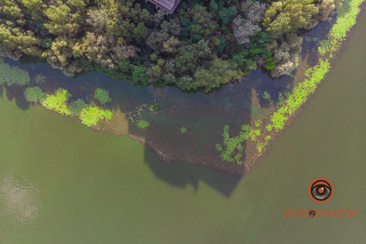 Река Днепр зацвела и покрылась пеной 18